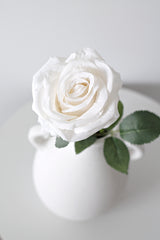 Single Rose Flower - Cream / White