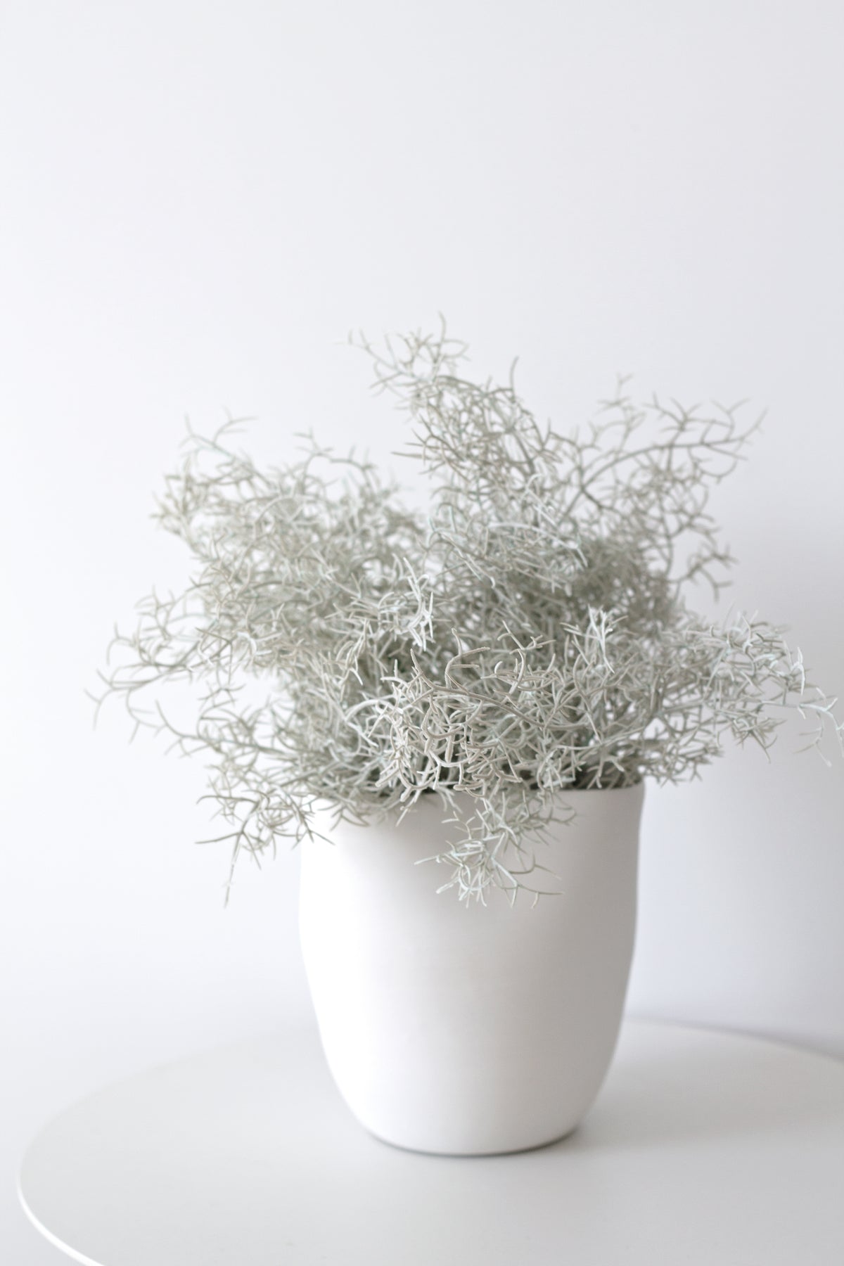 Knew Vase styled with dried florals on a console
