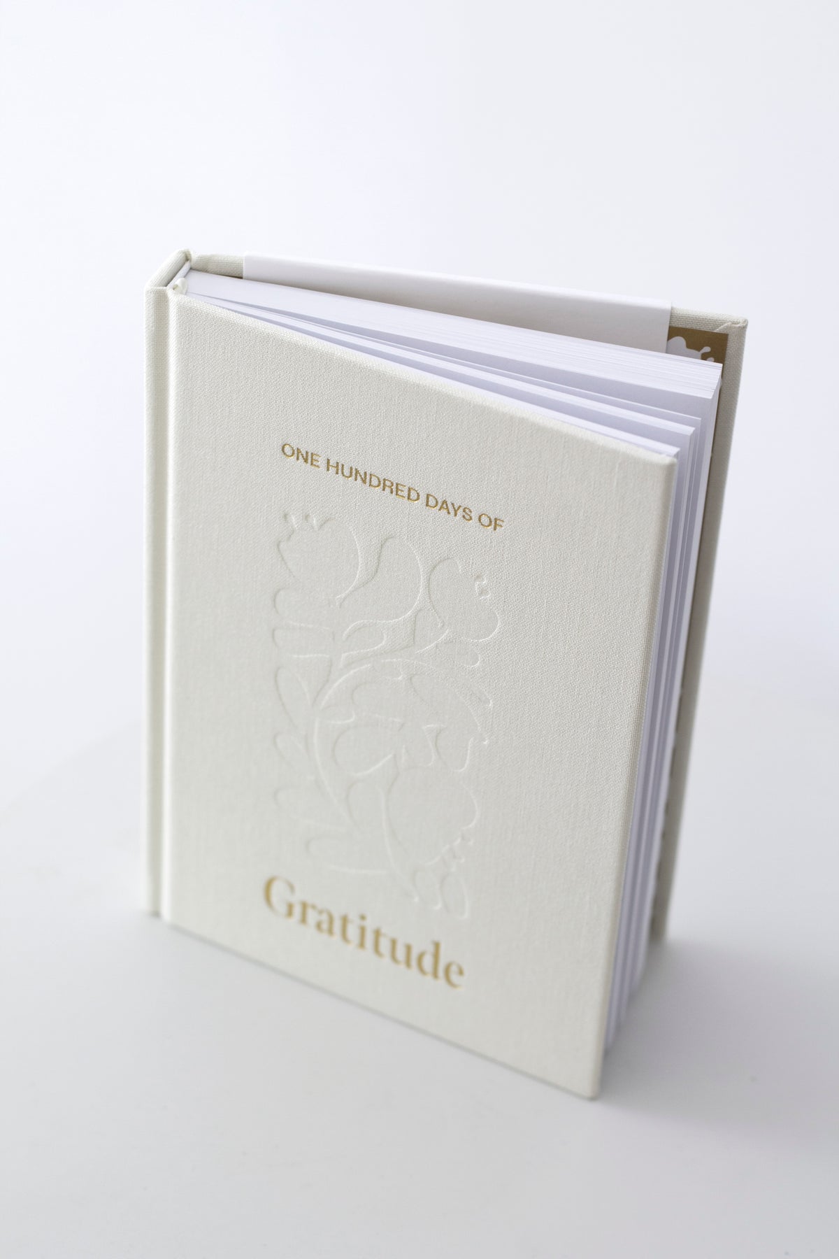 Gratitude journal standing upright, showing its linen cover and page edges