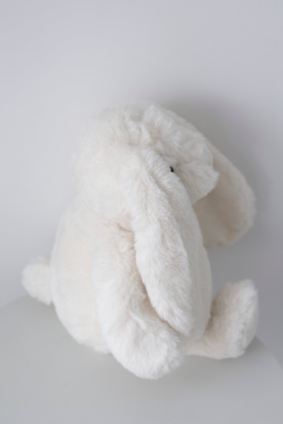 Cream Littlefoot bunny lying on its side with floppy ears