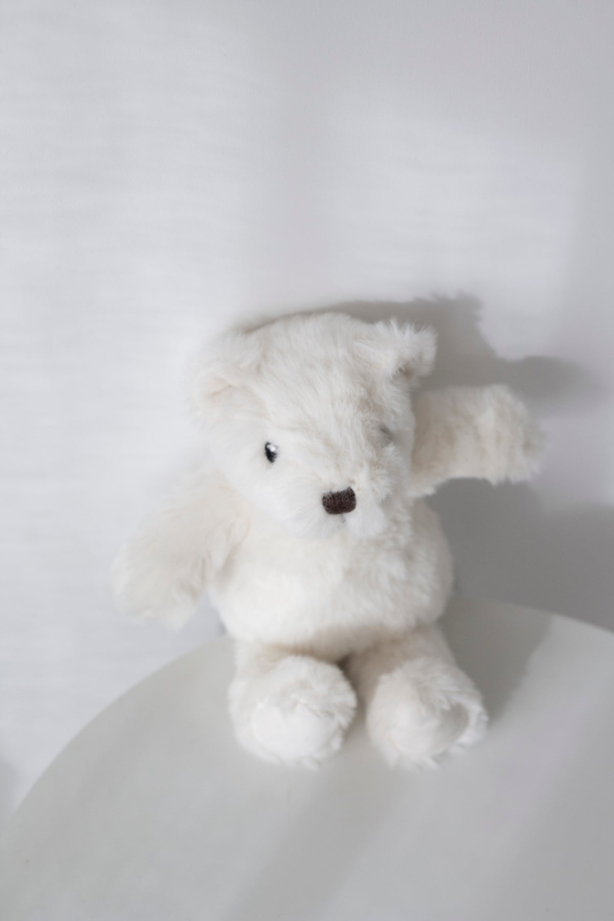 White Littlefoot Bear soft toy seated on a white surface