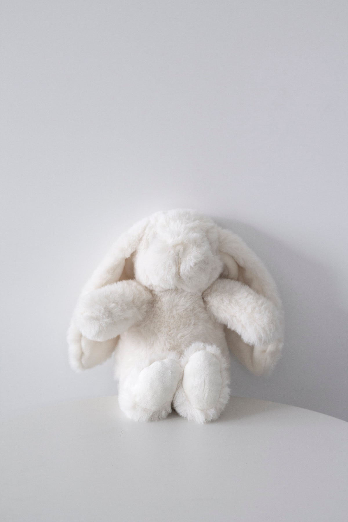 Cream Littlefoot bunny resting against a pale grey backdrop