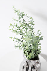 Silver Dollar - Green
