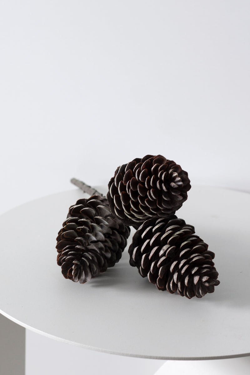 Pinecone Pick