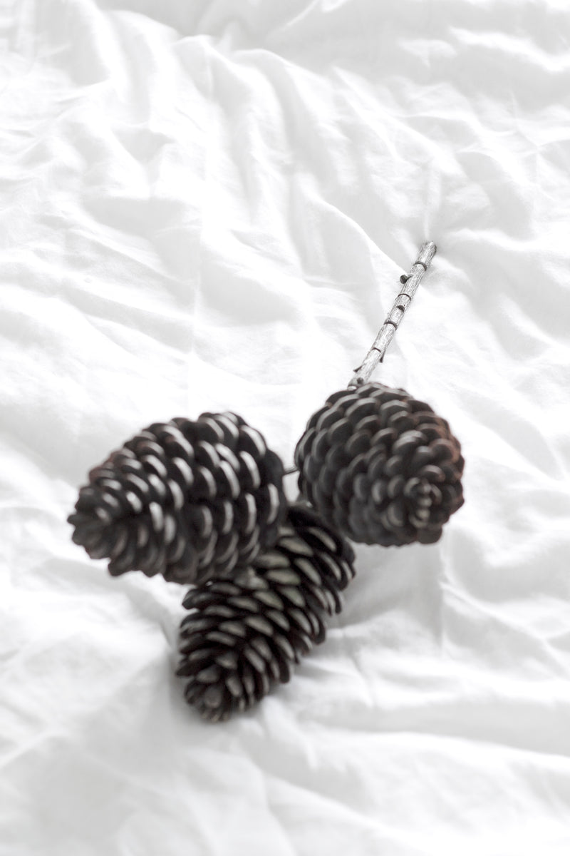 Pinecone Pick