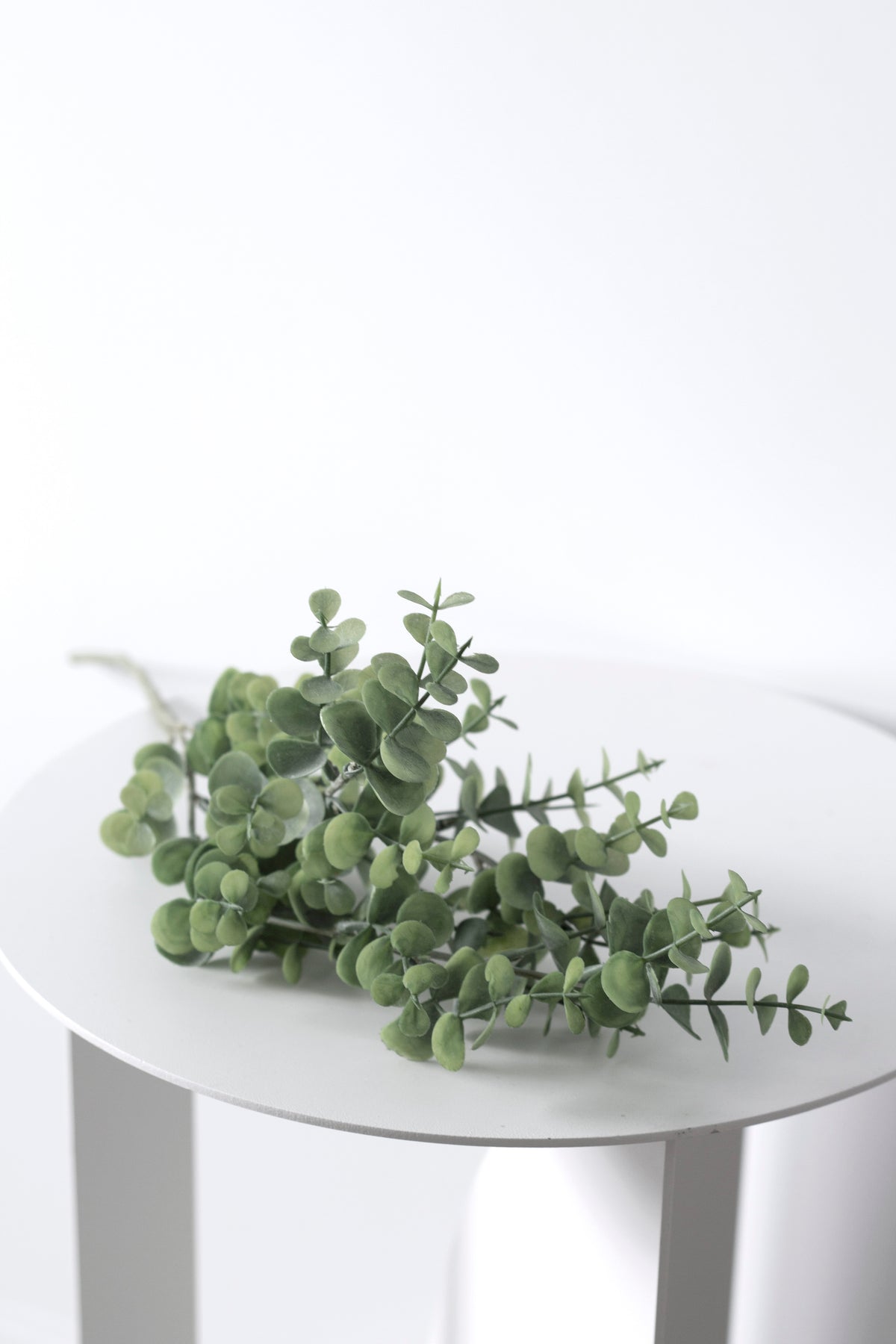Silver Dollar Eucalyptus Spray, Green 65cm Faux Stem