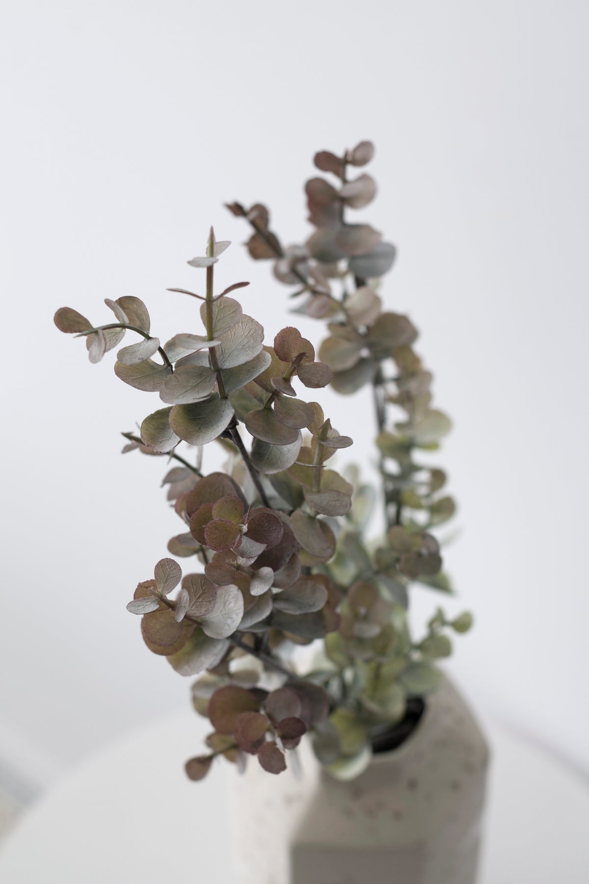 Grey-pink faux eucalyptus in a textured white vase