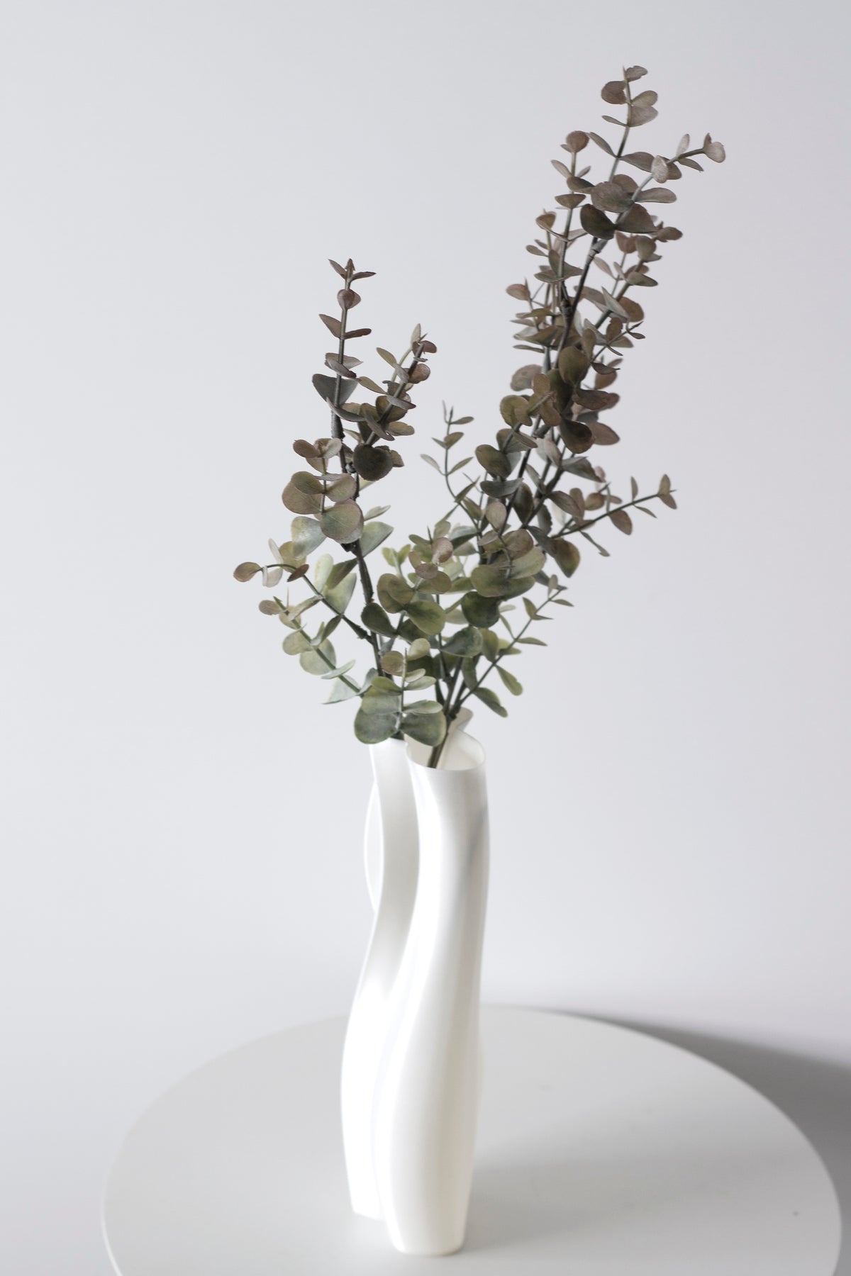 Faux silver dollar eucalyptus in a tall white vase
