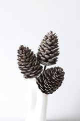 Pinecone Pick