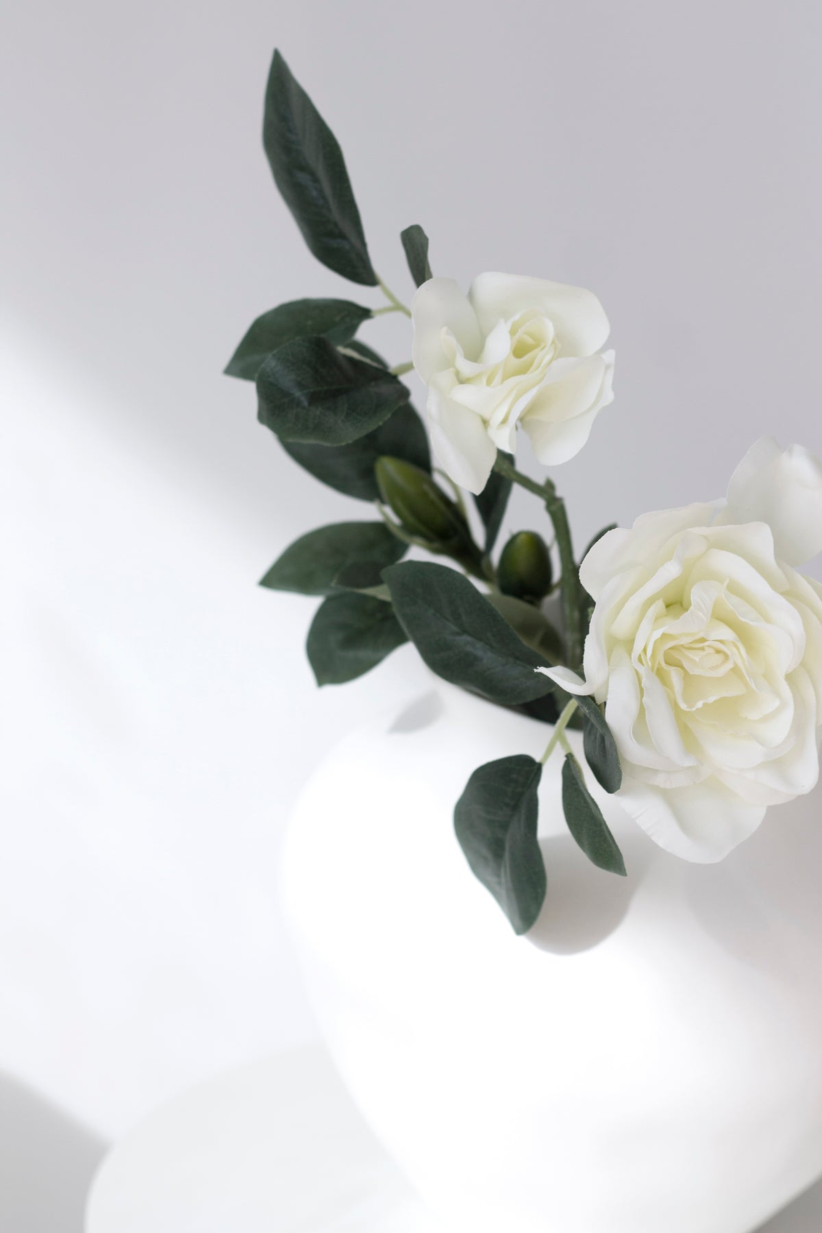 Gardenia stem resting over the rim of a round white vase against a sheer curtain