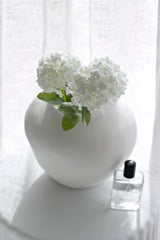 Viburnum Snowball - White