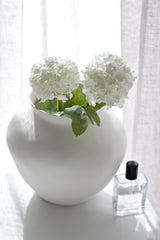 Viburnum Snowball - White