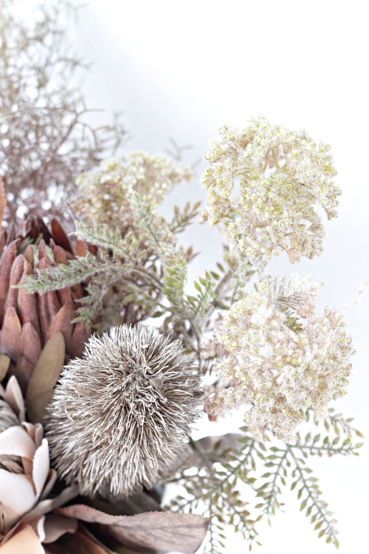 Close view of a thistle, protea and cream blooms with fern