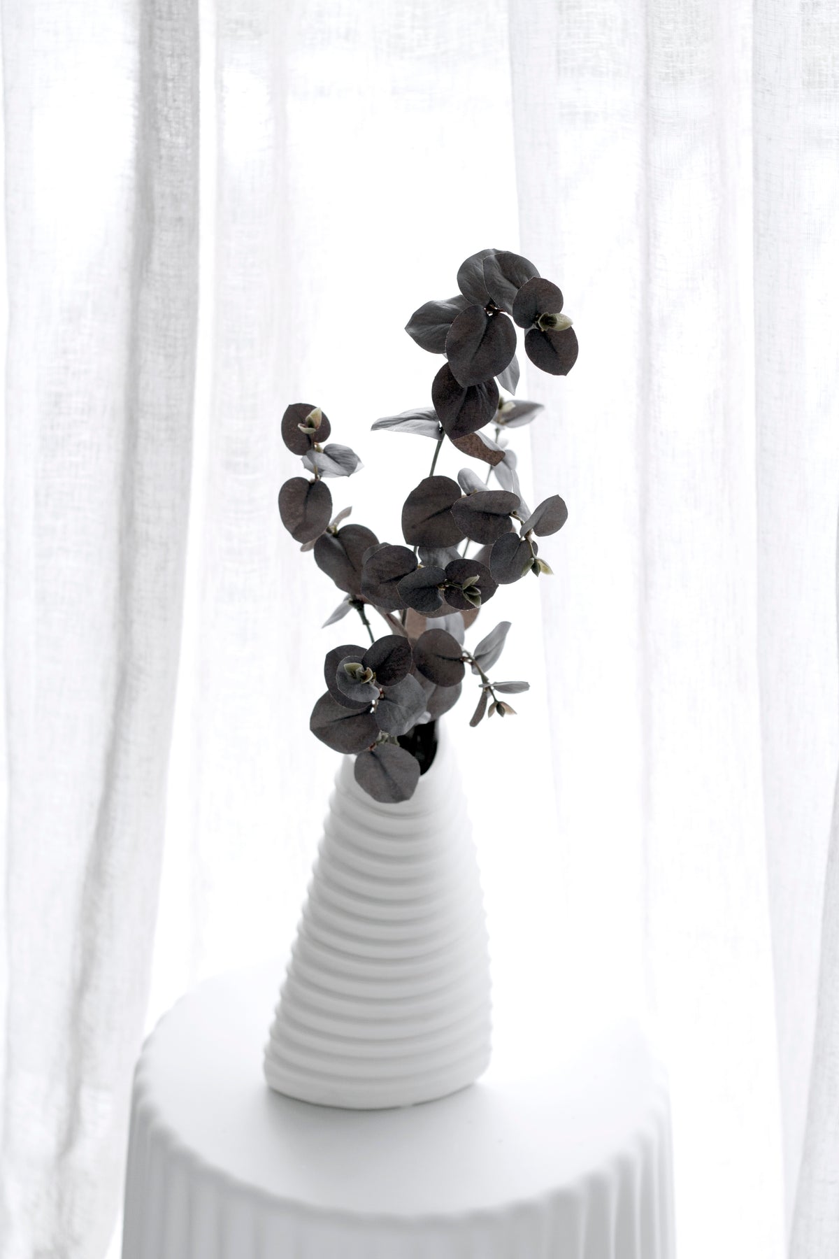 Brown eucalyptus in a ribbed white vase against sheer curtains