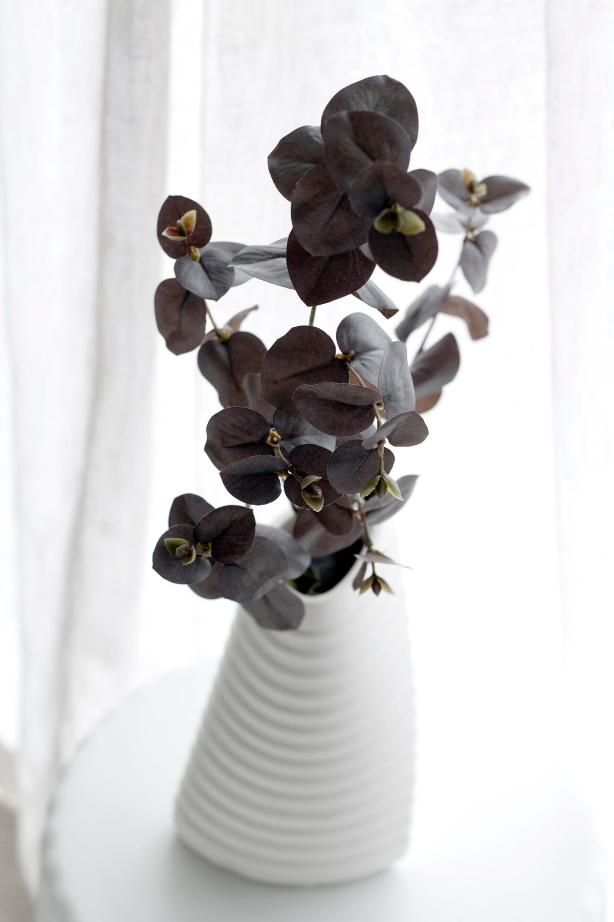 The bronze eucalyptus leaves fanning from a ribbed white vase in soft window light