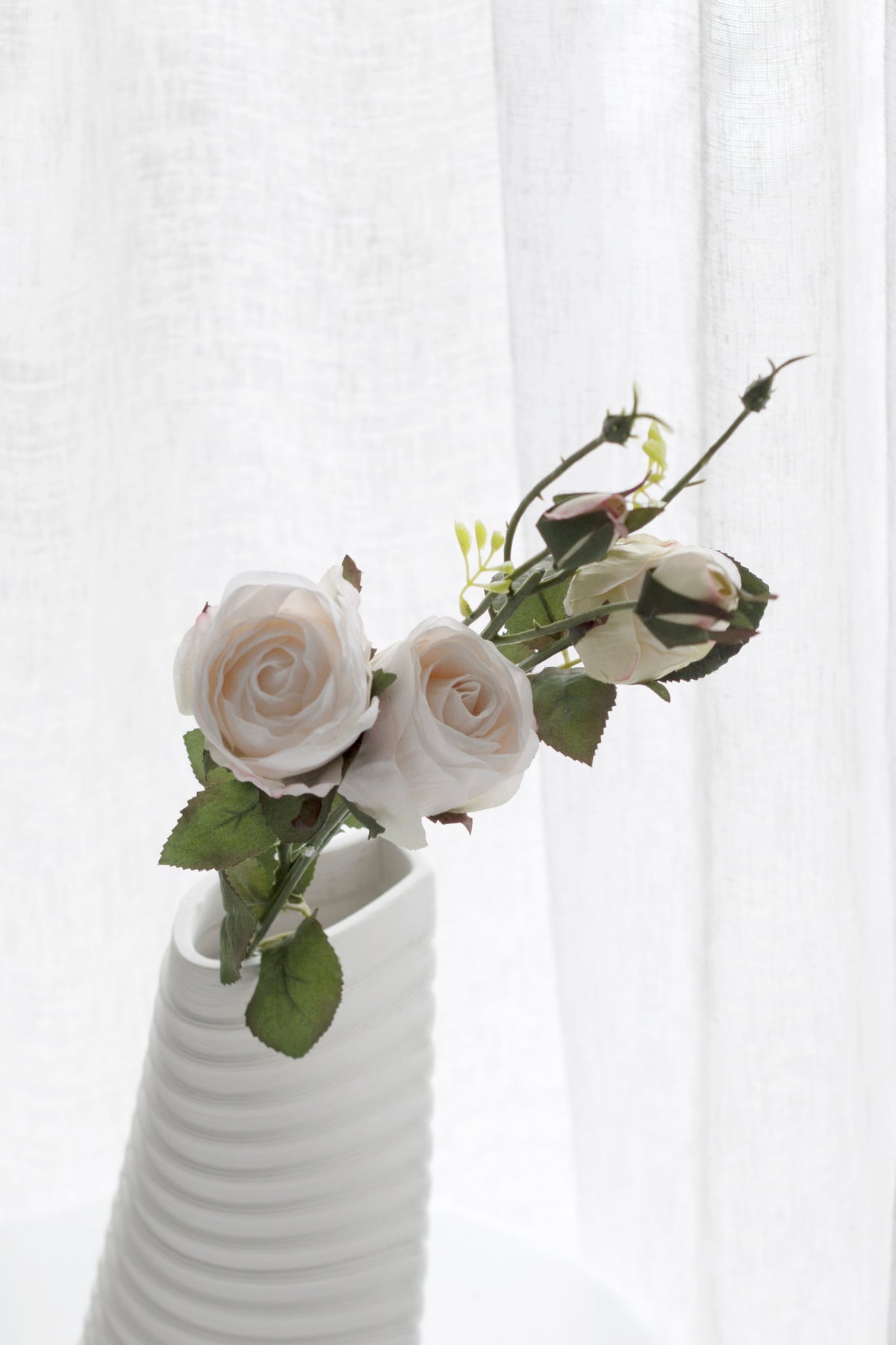 Cabbage Rose Stem, Blush Ivory 53cm Faux Flower
