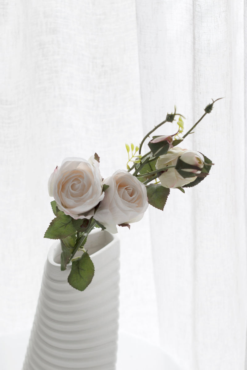 Cabbage Rose - Blush Ivory