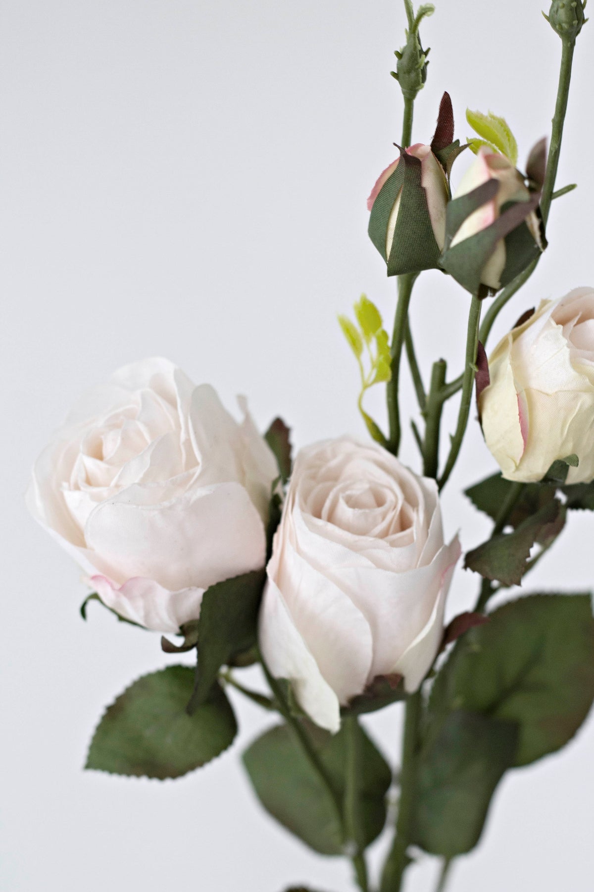 Cabbage Rose Stem, Blush Ivory 53cm Faux Flower