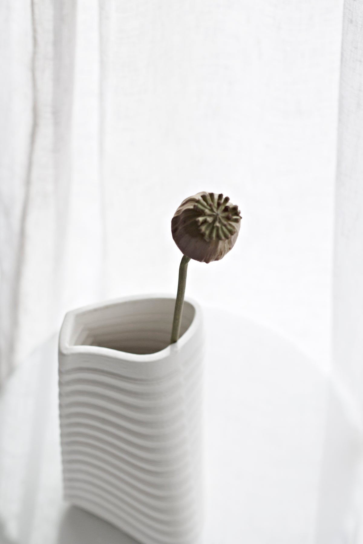 Poppy Seed Stem, Dried-Look 55cm Faux Accent