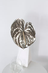 Metallic Anthurium Pewter