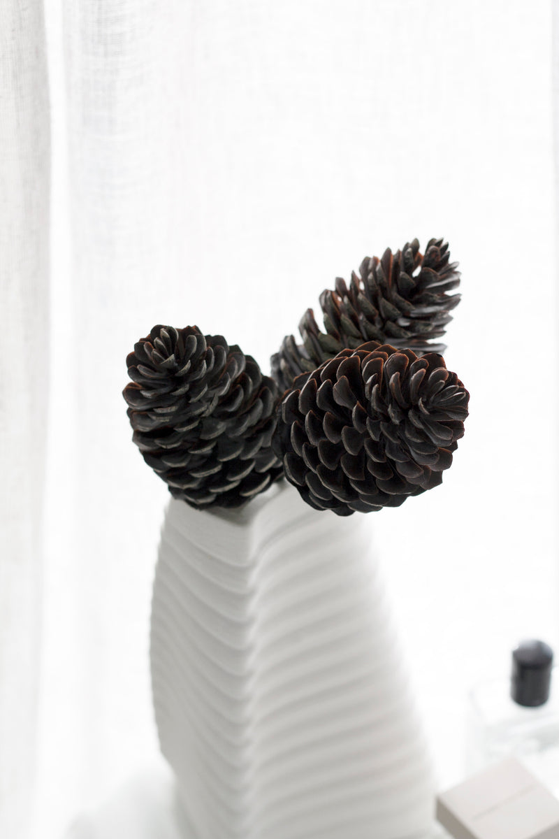 Pinecone Pick