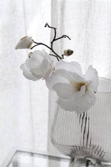 Southern Magnolia - White