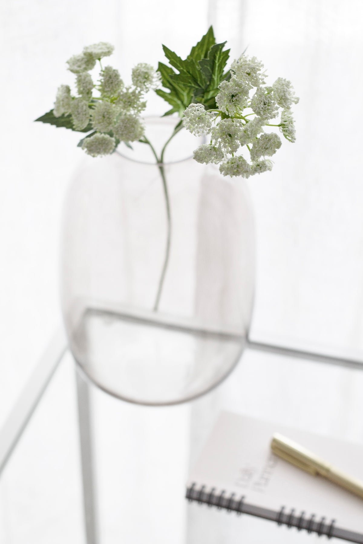 White Queen Anne's Lace blooms and green foliage arching over the rim of a frosted glass vase