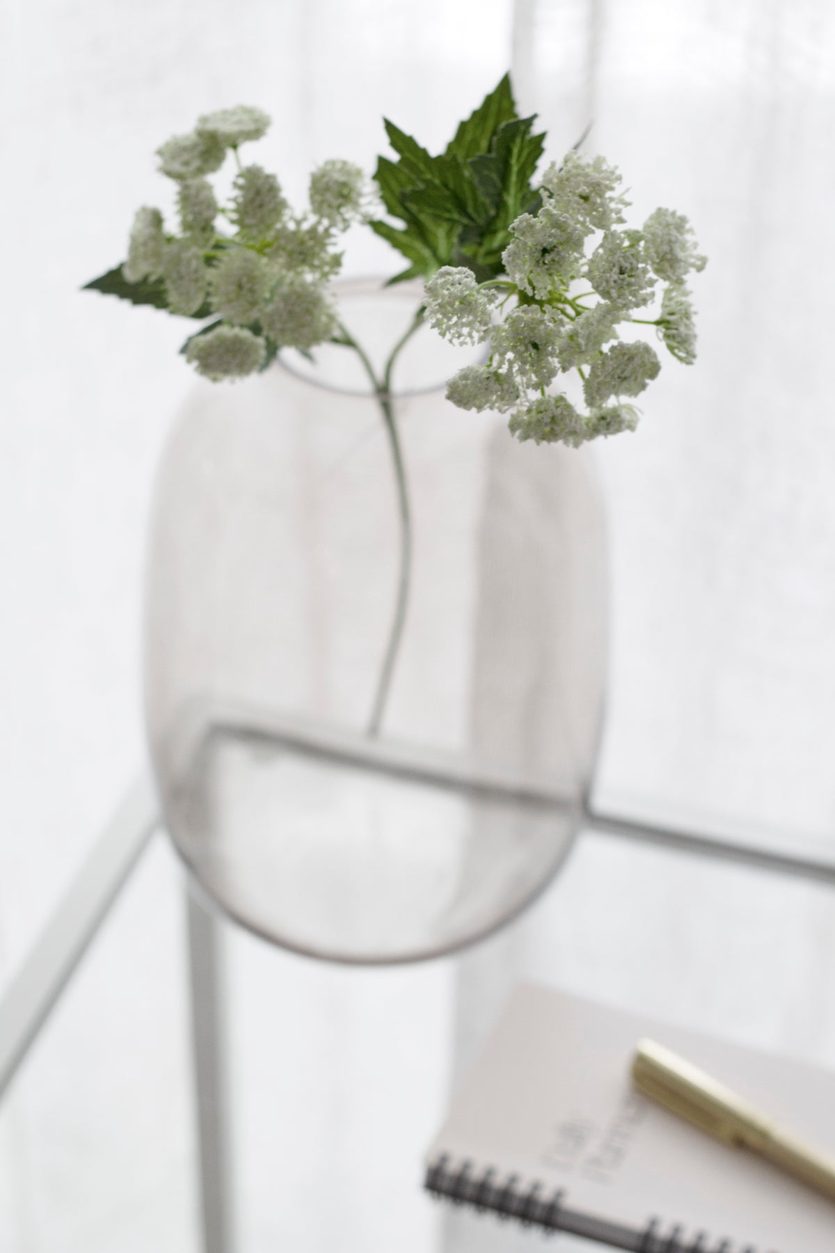 Close view of Queen Anne's Lace florets and serrated green leaves in a frosted vase