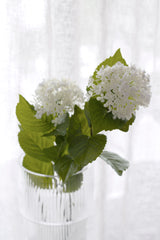 Viburnum Spray 2 Heads - White