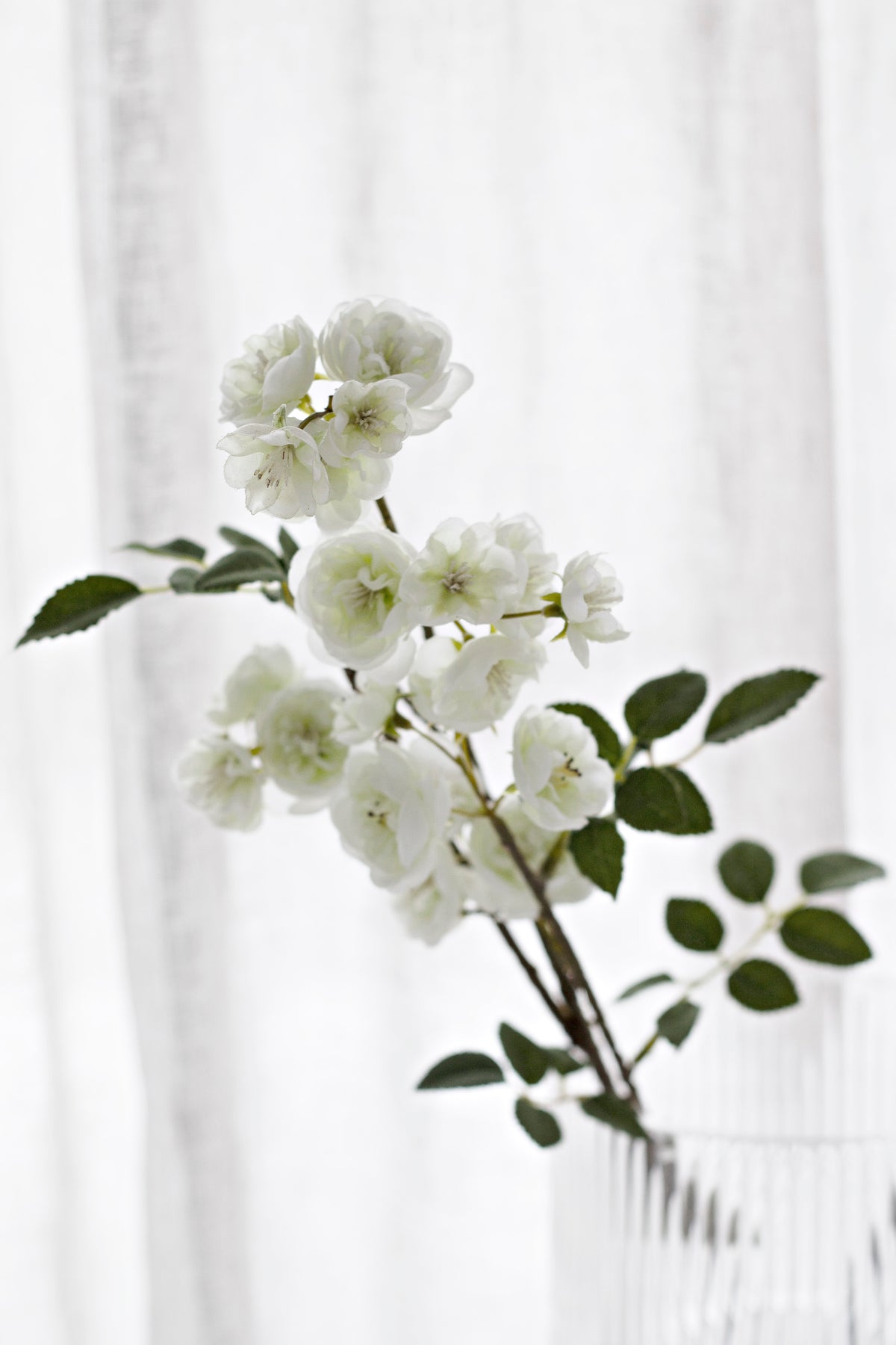 Cream faux rambling roses arching from a ribbed clear glass vase against a sheer white curtain