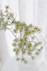 Dried Dill Spray