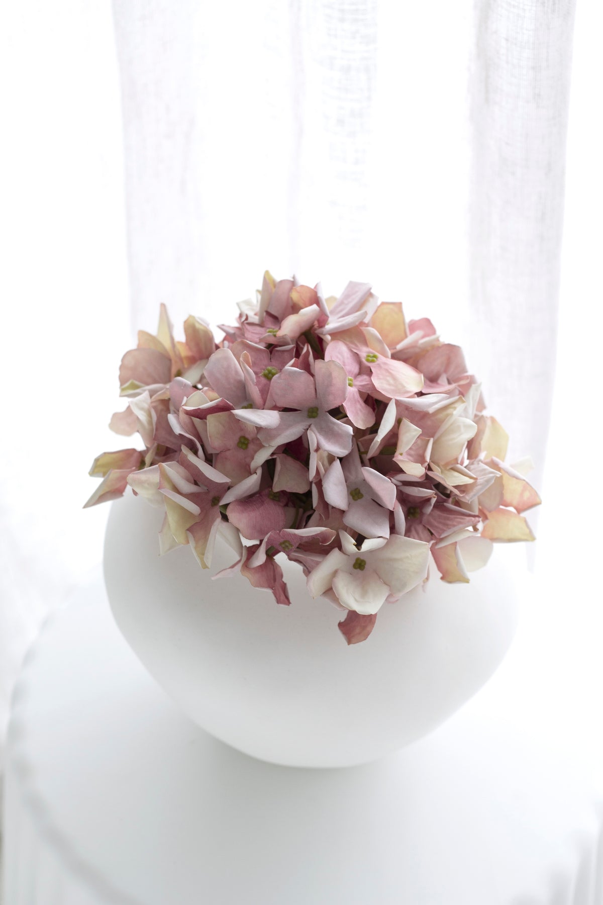 Grandiflora Hydrangea Stem, White or Pink 62cm Faux Flower