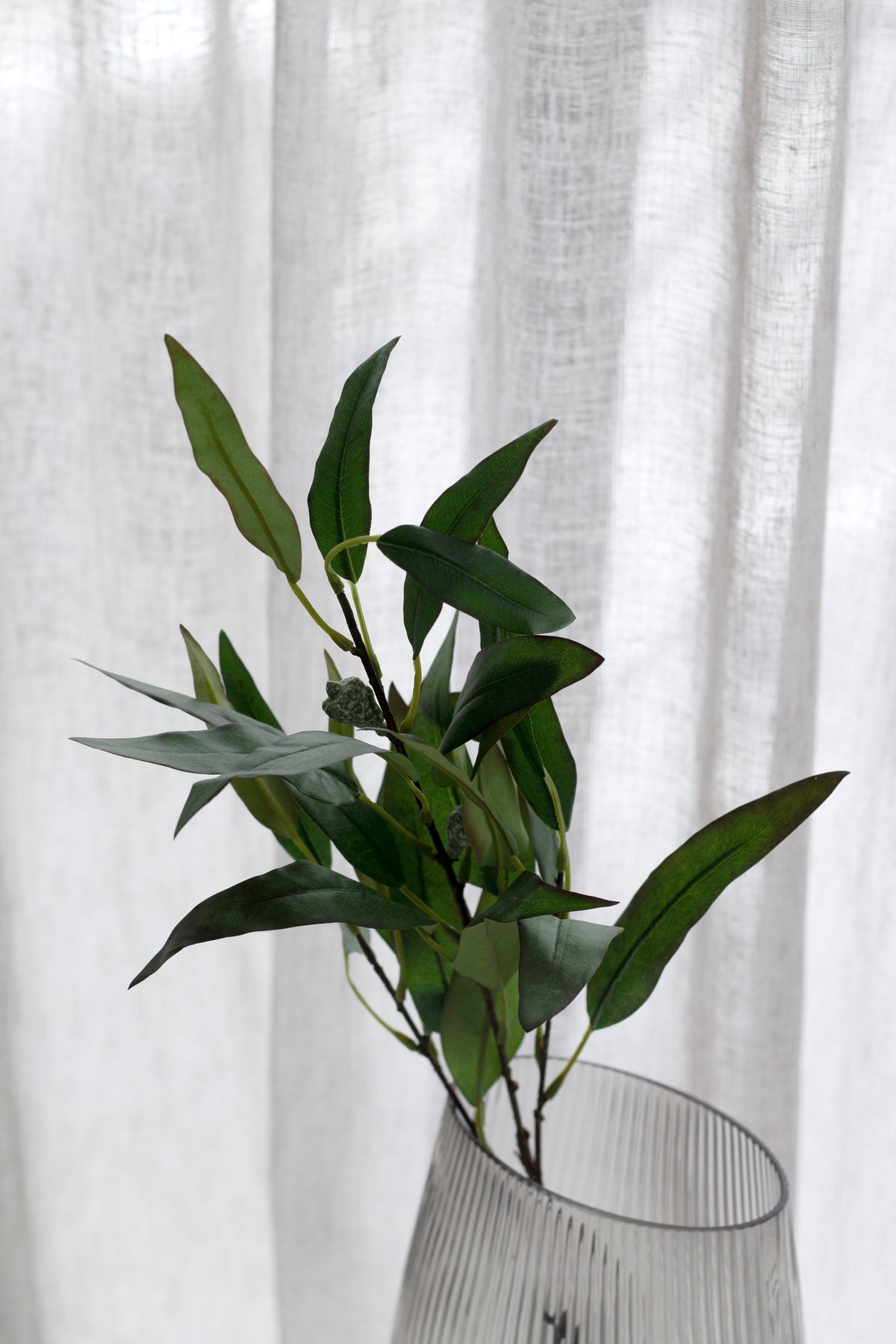 Willow eucalyptus in a ribbed glass vase with a sheer curtain behind