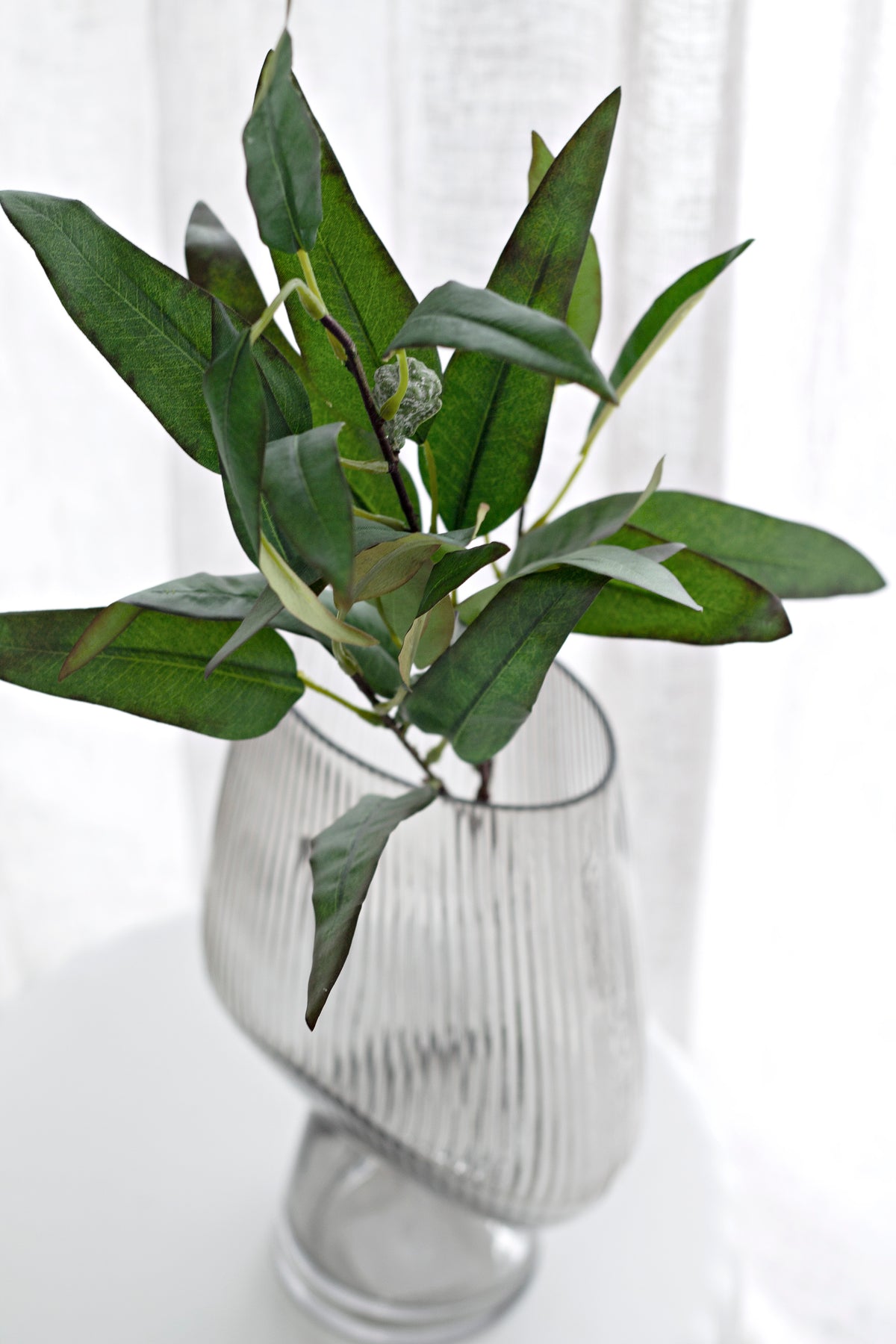 Green willow eucalyptus arranged in a ribbed glass vase