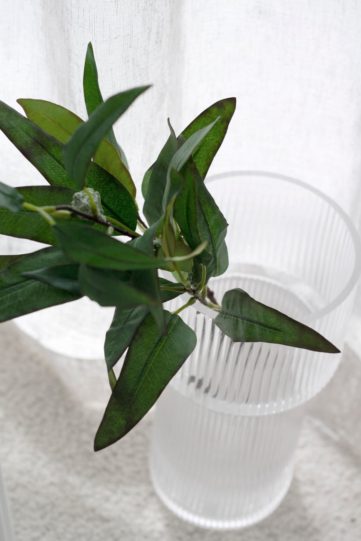 Close view of willow eucalyptus leaves above a frosted ribbed glass