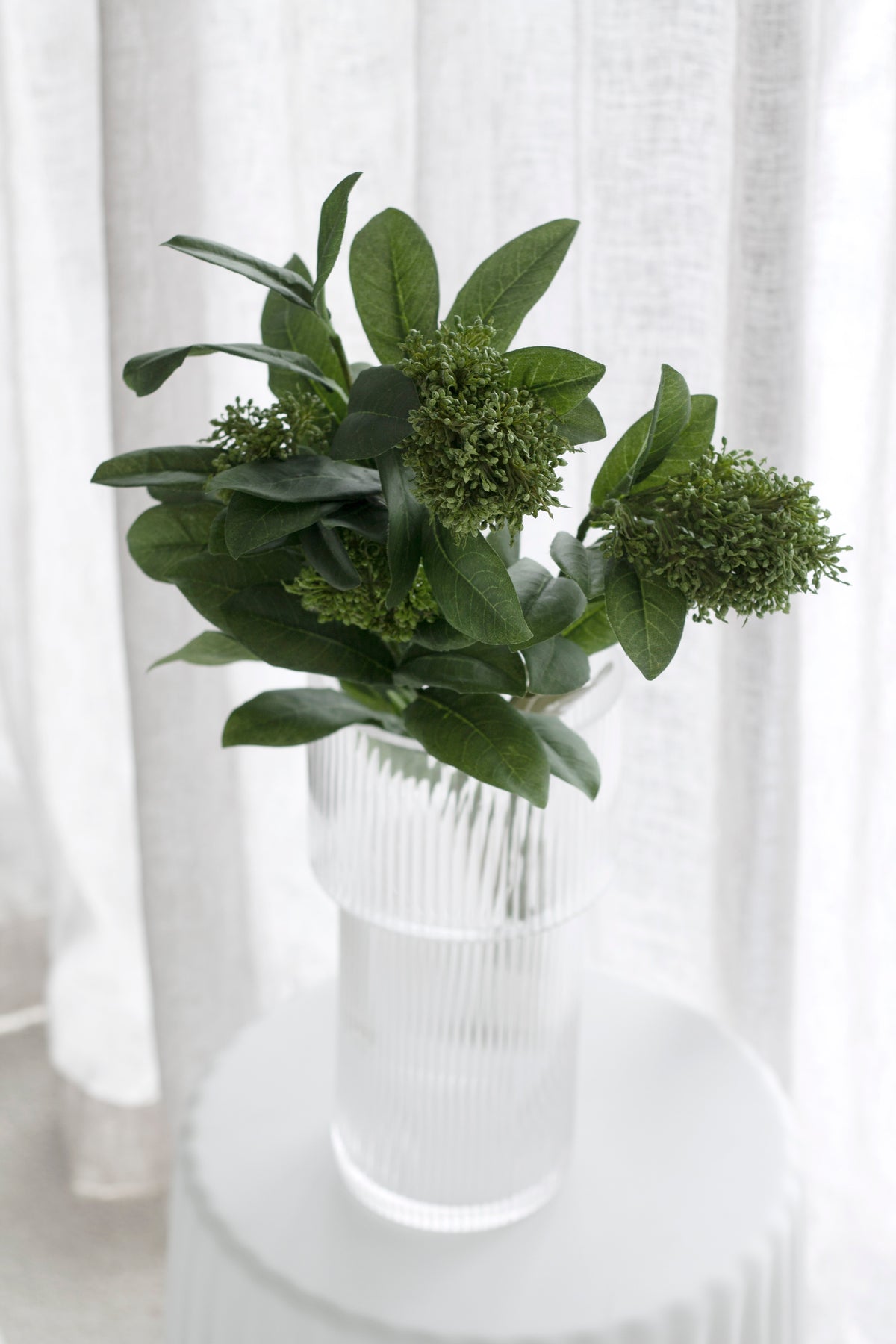 Skimmia in a glass vase on a ribbed white stand