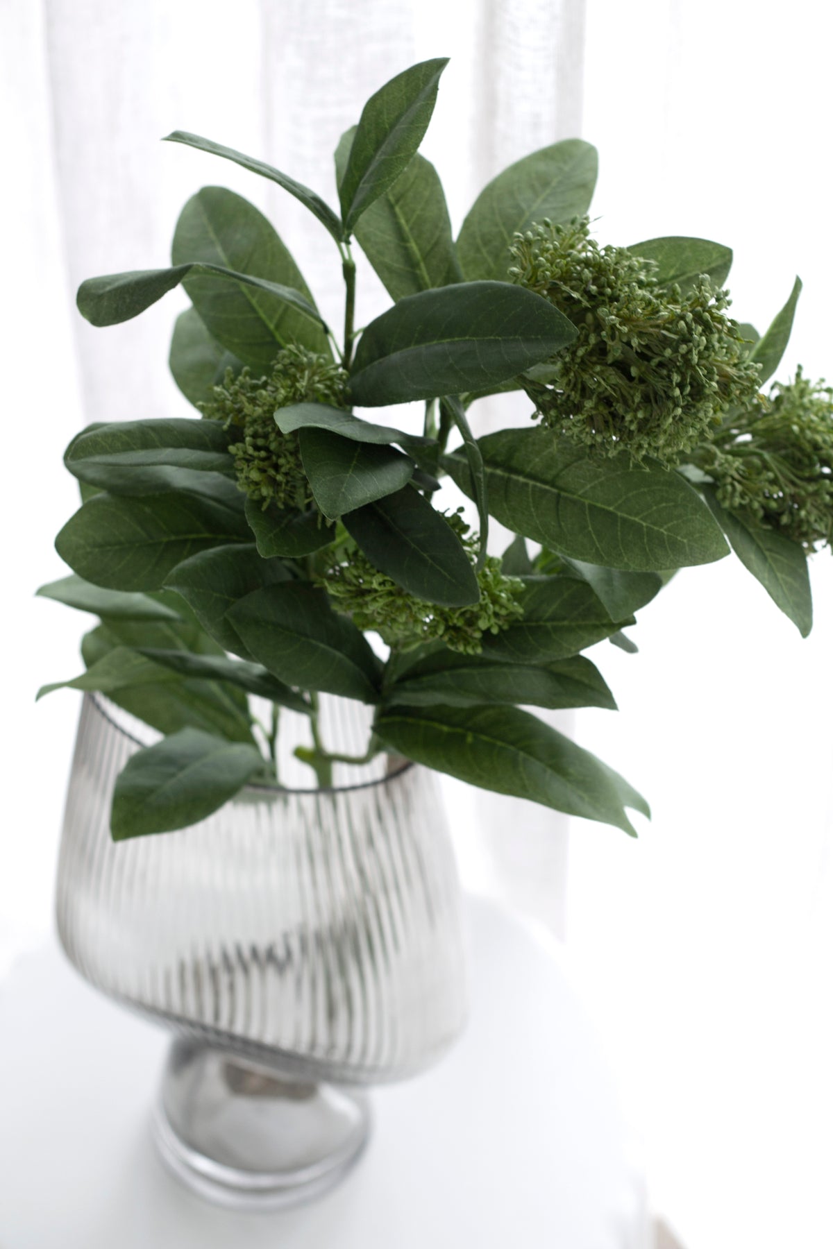 Skimmia in a ribbed glass vase, close view