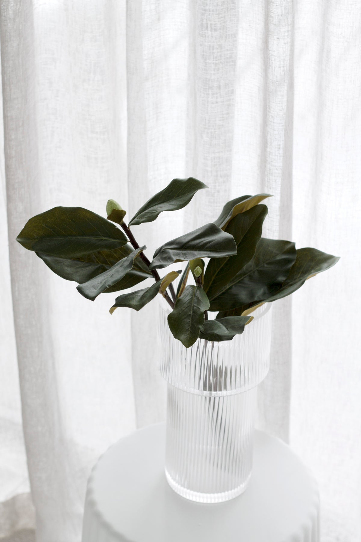 Magnolia Leaf Branch, 1m Faux Stem
