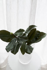 Magnolia Leaf Branch 1m