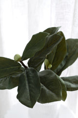 Magnolia Leaf Branch 1m