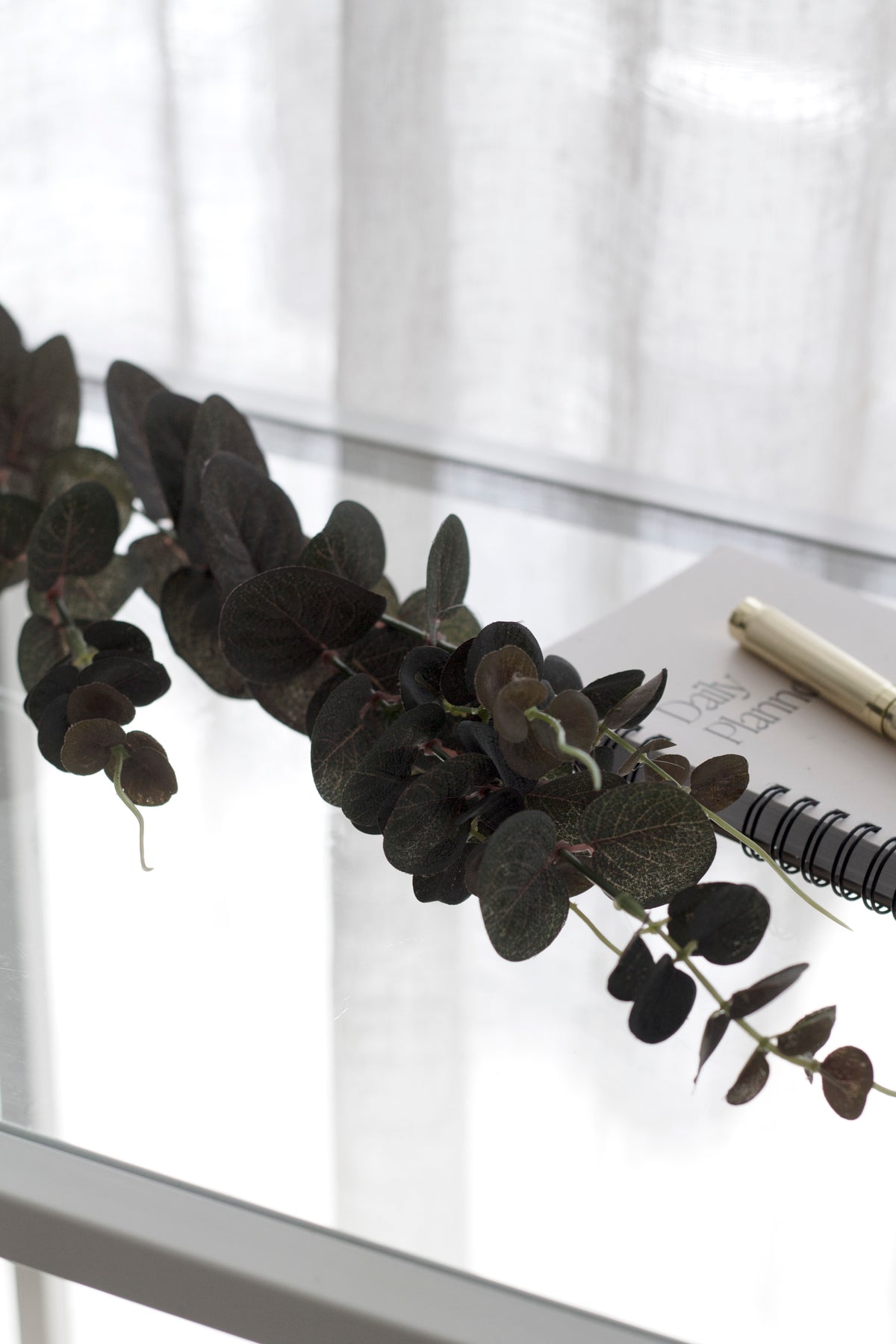 Red river gum eucalyptus spray laid on a table beside a notebook
