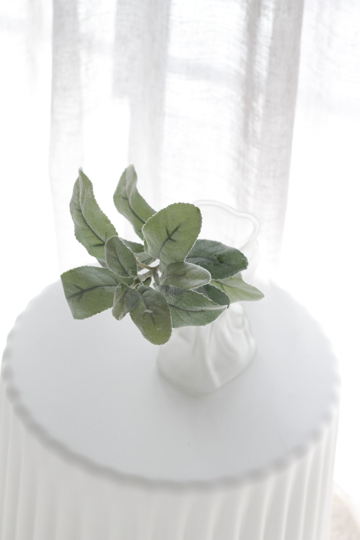 Lamb's Ear, 35cm Grey-Green Faux Foliage
