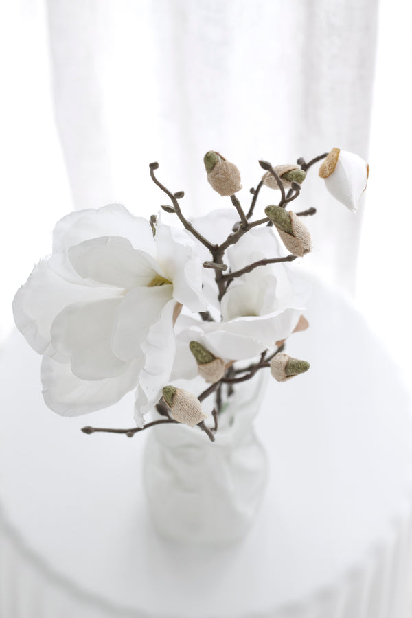 Magnolia Grandiflora - White