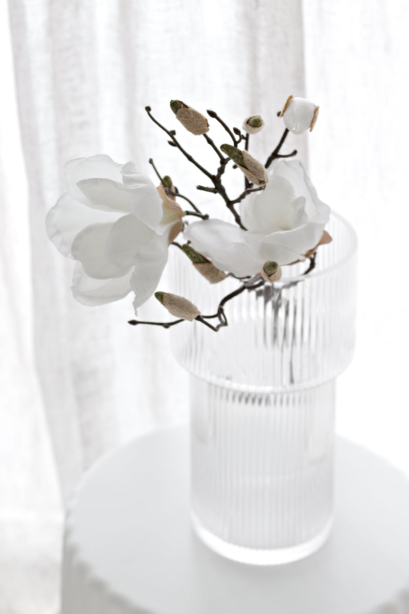 Southern Magnolia - White