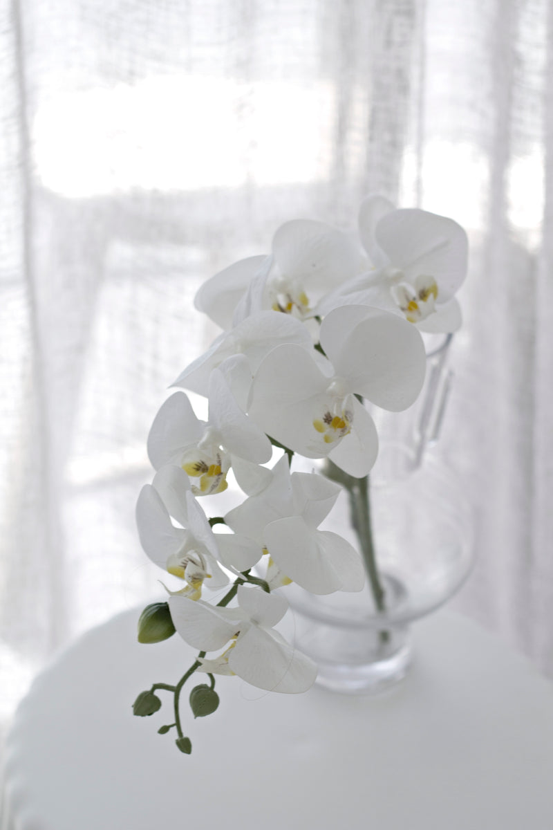 Real Touch Moth Orchid White