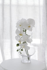 Real Touch Moth Orchid White