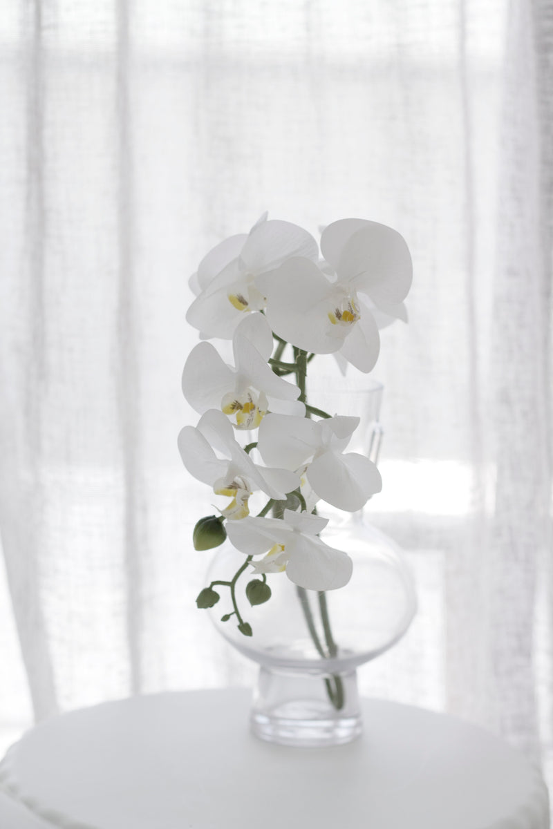 Real Touch Moth Orchid White