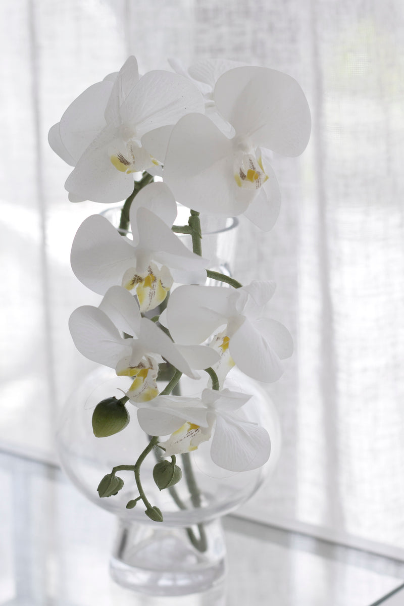 Real Touch Moth Orchid White