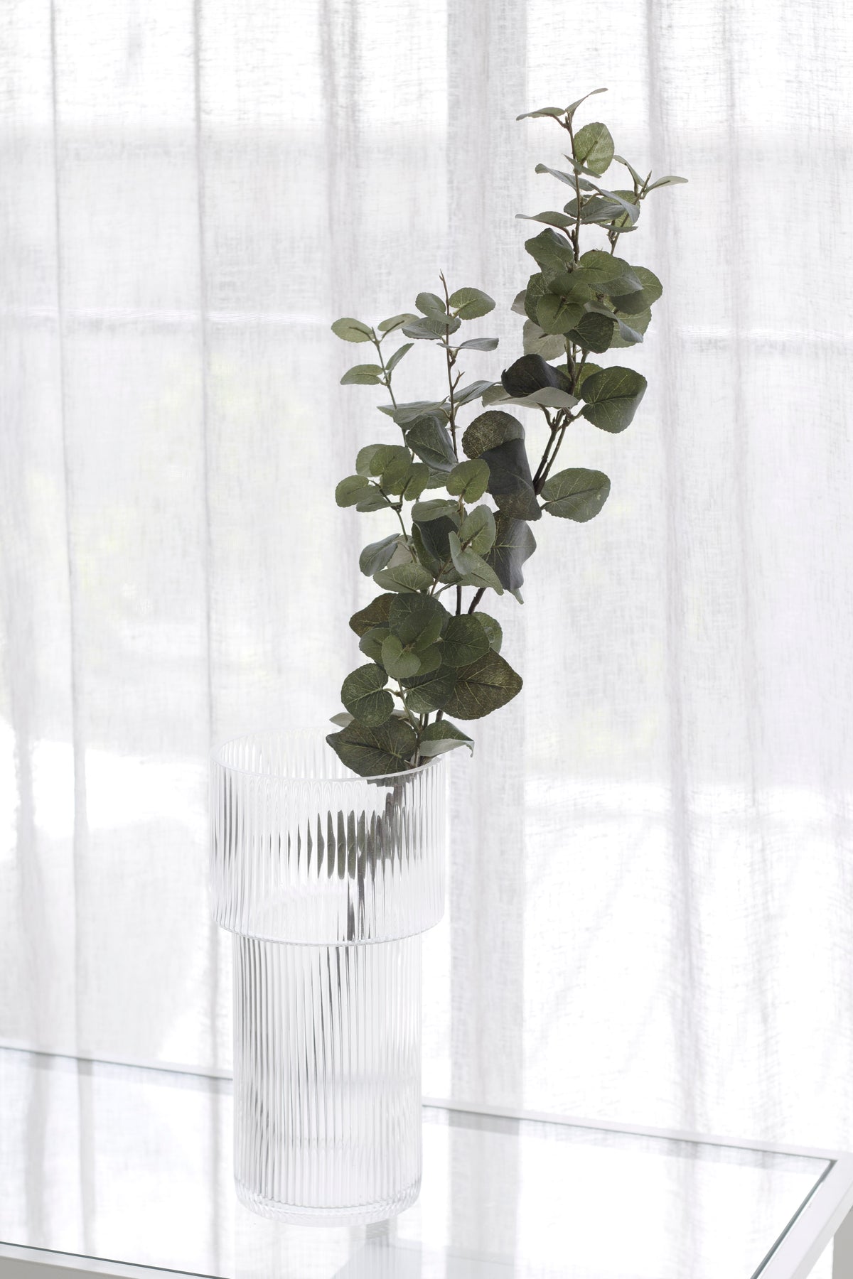 Faux eucalyptus stem in a clear glass vase by sheer curtains