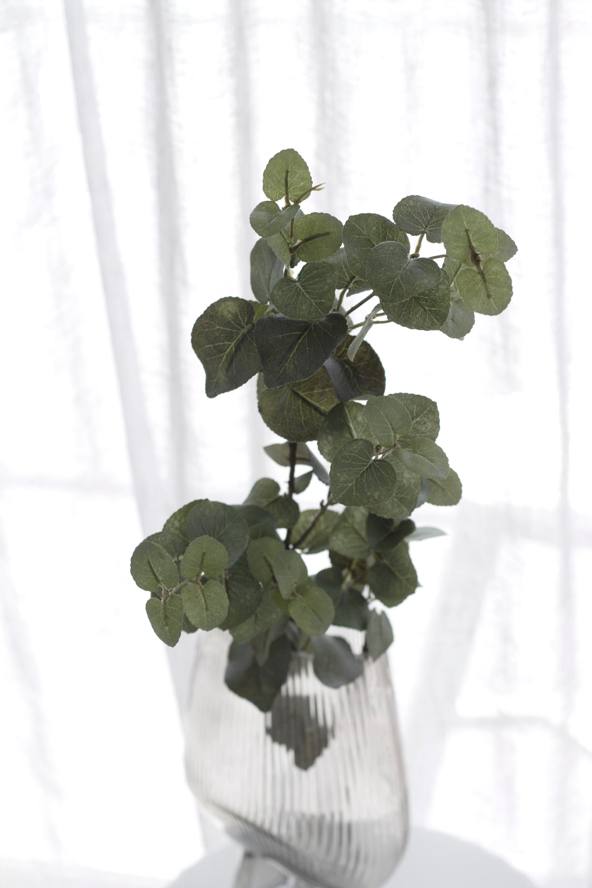 Faux eucalyptus stems in a ribbed glass vase by a window